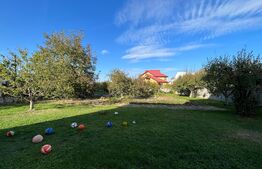 Vilă D + P + E + M de 600 mp utili, pe un teren de 1.400 mp, Catargiu