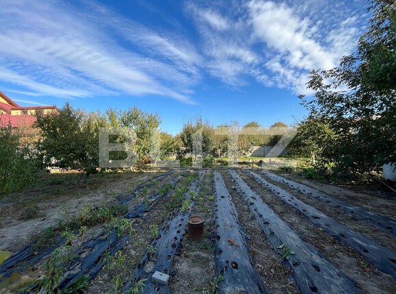 Casa de vânzare 18 camere Lascar Catargiu - 129219CV | BLITZ Craiova | Poza15