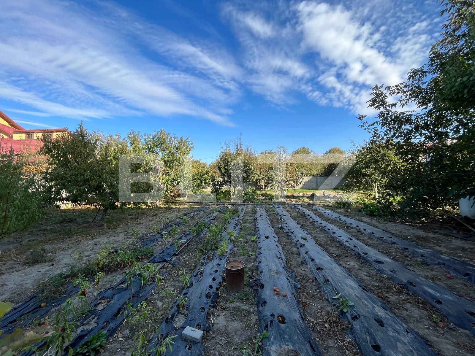 Casa de vânzare 18 camere Lascar Catargiu - 129219CV | BLITZ Craiova | Poza15