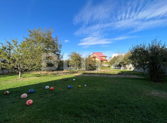 Casa de închiriat 18 camere Lascar Catargiu - 129221CI | BLITZ Craiova | Poza14