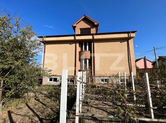Casa de închiriat 18 camere Lascar Catargiu - 129221CI | BLITZ Craiova | Poza18