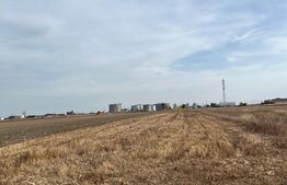 Teren 5000 mp intravilan in Ghercesti 