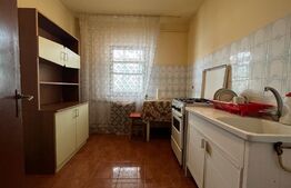 Apartament de 2 camere, decomandat, cartierul Brazda lui Novac