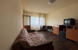 Apartament de 2 camere, decomandat, cartierul Brazda lui Novac