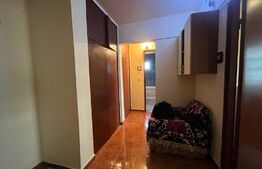 Apartament de 2 camere, decomandat, cartierul Brazda lui Novac