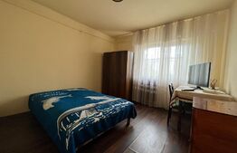 Apartament de 2 camere, decomandat, cartierul Brazda lui Novac