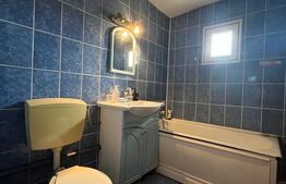 Apartament de 2 camere, decomandat, cartierul Brazda lui Novac