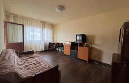 Apartament de 2 camere, decomandat, cartierul Brazda lui Novac