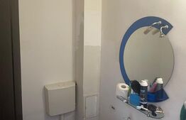 Oportunitate! Casă modernă în regim P+1 Opanez cu teren aferent de 300 mp