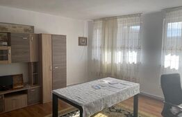 Oportunitate! Casă modernă în regim P+1 Opanez cu teren aferent de 300 mp