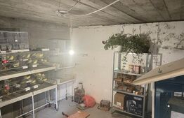 Oportunitate! Casă modernă în regim P+1 Opanez cu teren aferent de 300 mp