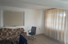 Oportunitate! Casă modernă în regim P+1 Opanez cu teren aferent de 300 mp