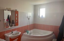 Oportunitate! Casă modernă în regim P+1 Opanez cu teren aferent de 300 mp