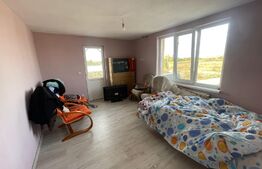 Casa individuala P+1,cu spatiu comercial  , Isalnita 