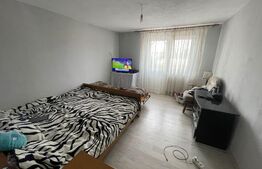 Casa individuala P+1,cu spatiu comercial  , Isalnita 