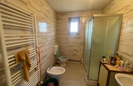 Casa individuala P+1,cu spatiu comercial  , Isalnita 