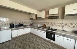 Casa individuala P+1,cu spatiu comercial  , Isalnita 