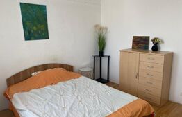 Apartament de 3 camere, decomandat, aer conditionat, zona Brazda lui Novac
