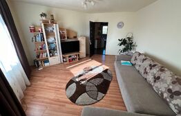 Apartament decomandat, 2 camere, în zona Baba Novac - Brazdă, gata de mutat