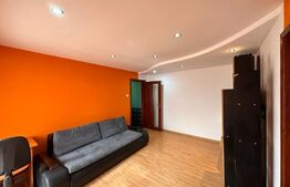 Apartament cu 2 camere, aer conditionat, pet friendly, zona Valea Rosie