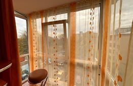 Apartament cu 2 camere, aer conditionat, pet friendly, zona Valea Rosie