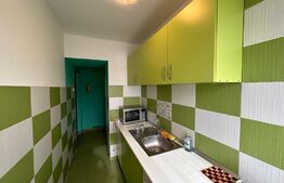 Apartament cu 2 camere, aer conditionat, pet friendly, zona Valea Rosie