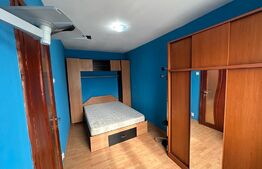 Apartament cu 2 camere, aer conditionat, pet friendly, zona Valea Rosie