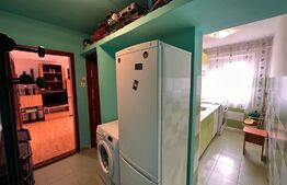 Apartament cu 2 camere, aer conditionat, pet friendly, zona Valea Rosie