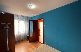 Apartament cu 2 camere, aer conditionat, pet friendly, zona Valea Rosie
