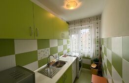 Apartament cu 2 camere, aer conditionat, pet friendly, zona Valea Rosie