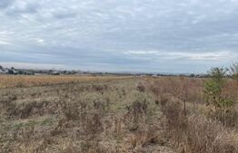 Teren extravilan de 2539 mp in Dudovicesti