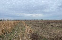 Teren extravilan de 2539 mp in Dudovicesti