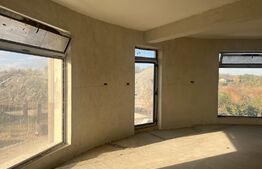 Casa in zona Ford, Ionumi pe un teren de 664 mp