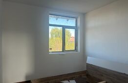 Casa in zona Ford, Ionumi pe un teren de 664 mp