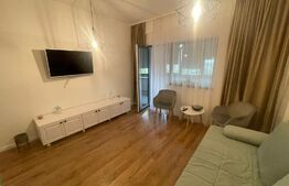 Apartament 3 camere, 2 bai, parcare, Zona Calea Severinului