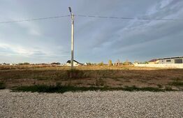 Hale noi pe parter sau P + 1, 1.755 mp utili, teren 4.000 mp, zona industrială Ghercești