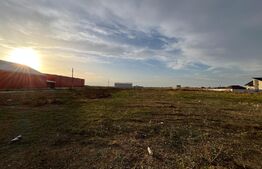 Hale noi pe parter sau P + 1, 1.755 mp utili, teren 4.000 mp, zona industrială Ghercești