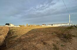 Hale noi pe parter sau P + 1, 1.755 mp utili, teren 4.000 mp, zona industrială Ghercești