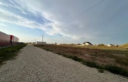 Hale noi pe parter sau P + 1, 1.755 mp utili, teren 4.000 mp, zona industrială Ghercești
