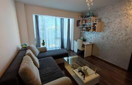 Apartament de 2 camere, zona Brazda-Simplon