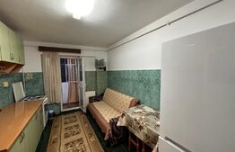 Apartament cu 2 camere, centrala termica, aer conditionat, zona 1 Mai