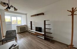 Garsonieră 32 mp utili, etaj 5, Brazda lui Novac