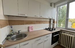 Garsonieră 32 mp utili, etaj 5, Brazda lui Novac