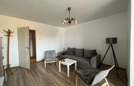 Garsonieră 32 mp utili, etaj 5, Brazda lui Novac