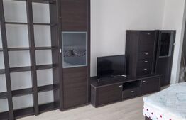 Garsoniera, 27 mp, Calea Bucuresti, zona Rotonda