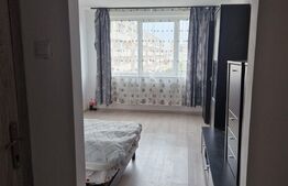 Garsoniera, 27 mp, Calea Bucuresti, zona Rotonda