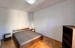 Apartament 2 camere, mobilat si utilat modern, Rovine 