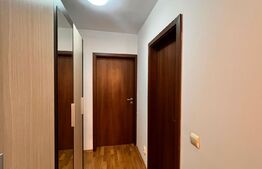 Apartament 2 camere, mobilat si utilat modern, Rovine 