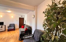 Apartament 2 camere, mobilat si utilat modern, Rovine 