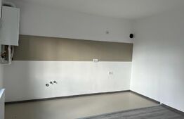 Casa 80mp, pe un teren de 280 in Bariera Valcii